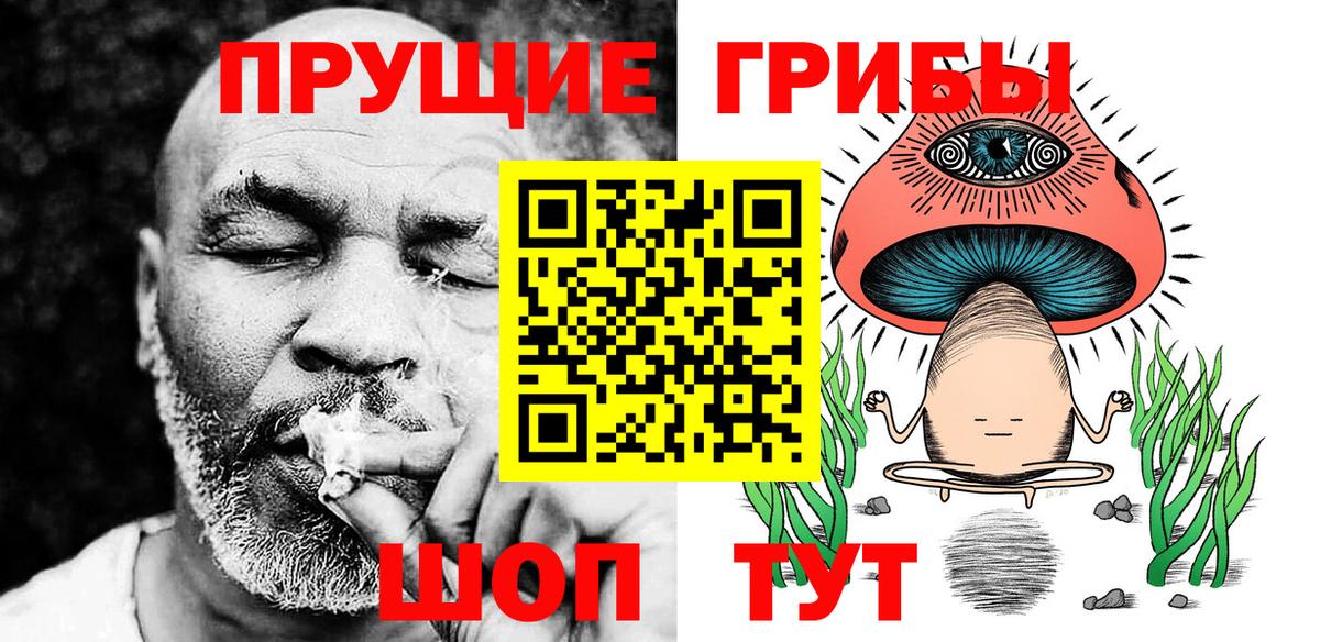 Псилоцибиновые грибы GOLDEN TEACHER Кохма