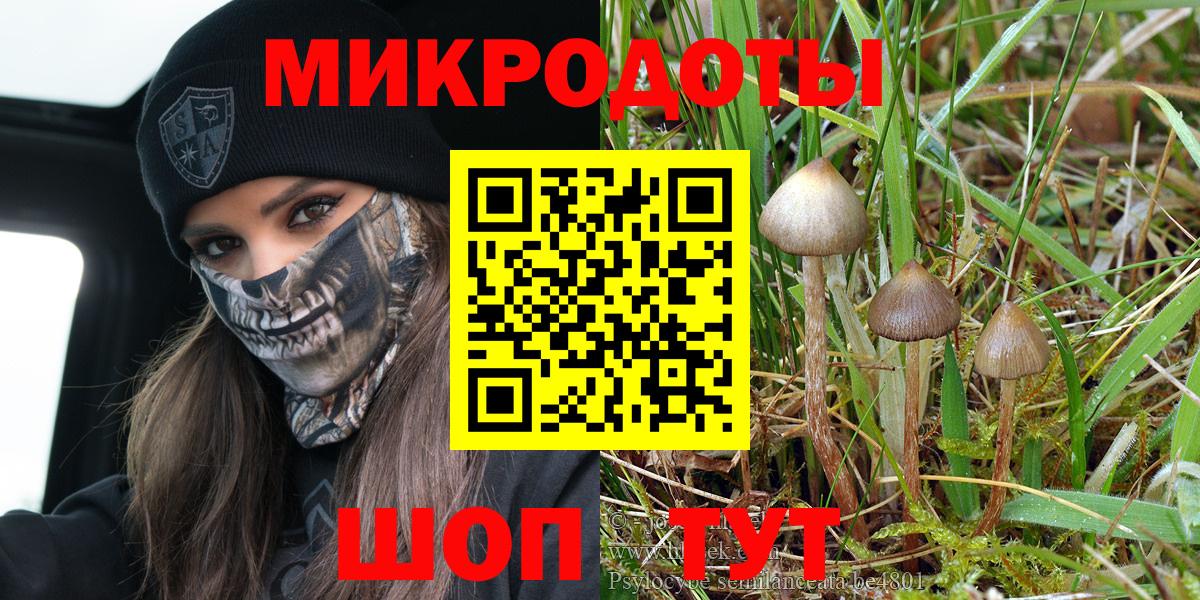 Галлюциногенные грибы GOLDEN TEACHER  Вход с VPN  где купить наркотик  Галлюциногенные грибы мухоморы  Кохма 